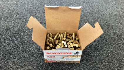 Winchester 22 Long Rifle Ammo