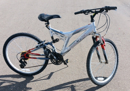 Vertical Dual Suspension Bike