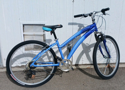 Aluminum CT 6 Speed With AirRide Comfort Shocks