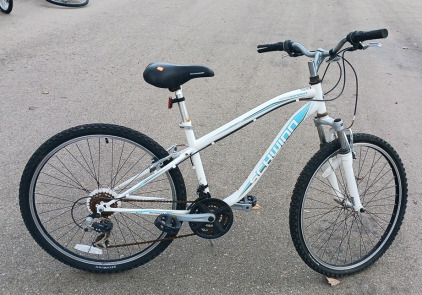 Schwinn Side Winder