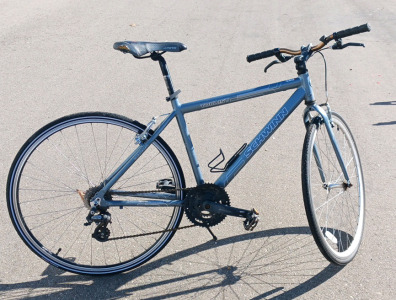 Schwinn Tourist Bike