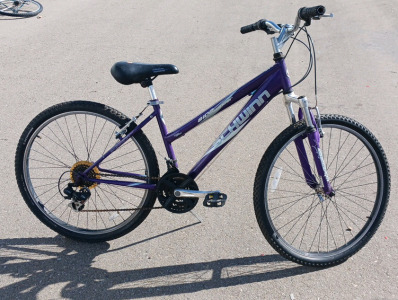 Schwinn Side Winder Bike