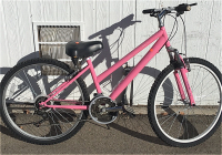 26” Pink 18-Speed Mtn. Bike With Shocks