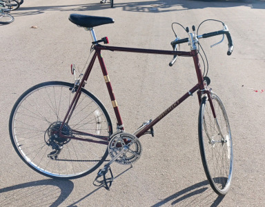 Nishiki Custom Sport Bike