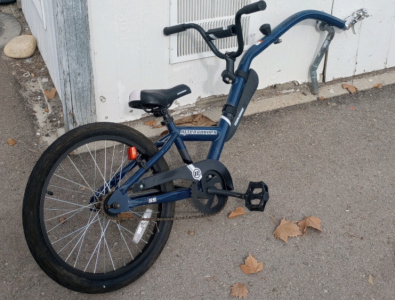 Novara Afterburner Bicycle Kid Attachment