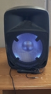 Working Ion Pro Glow 1500 with Microphone