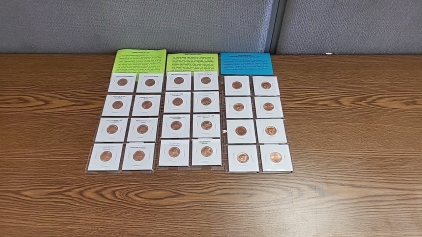 (16) 2009 Lincoln Cent Pieces with (8) US Treasury Commemorative Medallions