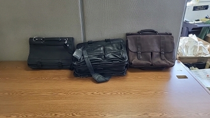 Solo Travel Bag, Travelpro Bag and Laptop Carrying Bag