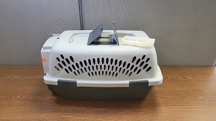 Pet Taxi Pet Carrier