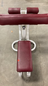 Bicep/Tricep Curl Bench