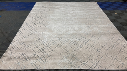 7’10” x 10’ Beige/Silver Area Rug