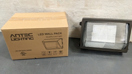 (2) LED Wall Lights