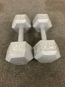 20 Pounds Dumbbells