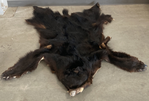 Black Bear Skin Rug