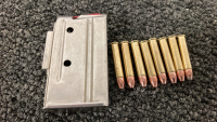 Magazine And (8) Rnds 22 MAG Ammo