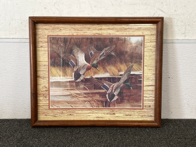 Framed Duck Picture 18.5&rdquo;x 15.5&rdquo;