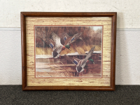 Framed Duck Picture 18.5”x 15.5”