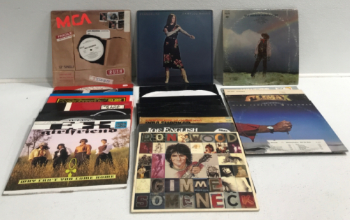 (24) Assorted Vinyl Records