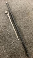 Skull Handled Cane Sword With Removable Blade
