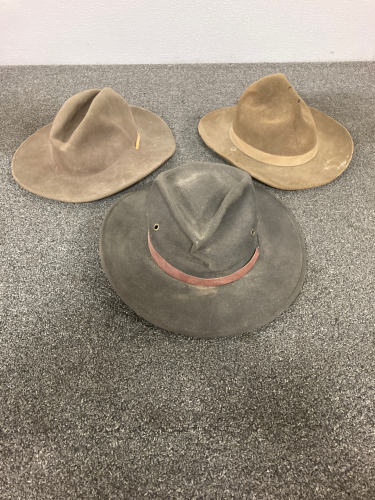 (3) Hats