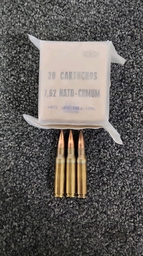 20 Cartridges Of 7.62 Nato-Comum