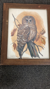 Vintage Owl Framed Art Lithograph by Paul Connor Circa 1970s Wood Frame with Glass