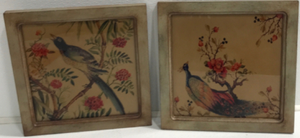 (2) Beautiful Framed Bird Pictures