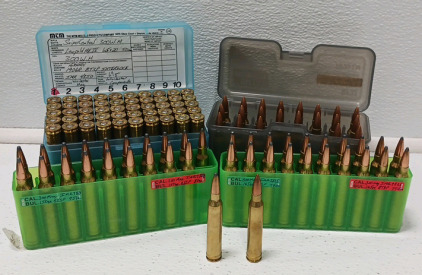 (112) Rounds .300 Winchester Mags