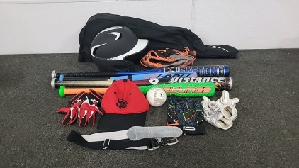 Baseball Bag, Gloves, Bats, and More