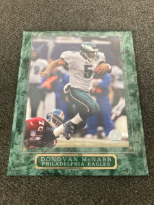 Donovan Mcnabb framed picture