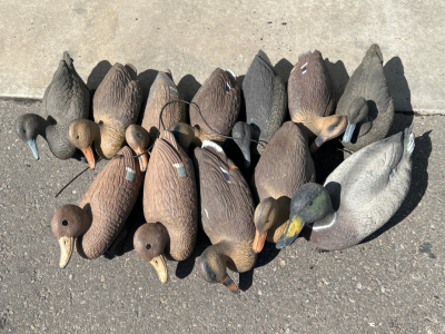 Bag of Duck Decoys