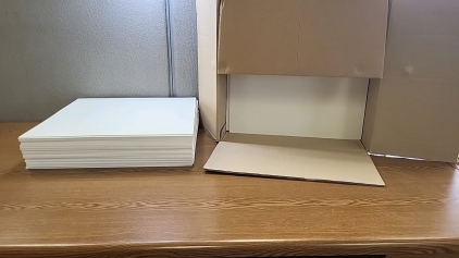 (100) Piece White Foam Padding