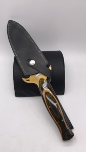 Knife W/ Leather Sheath