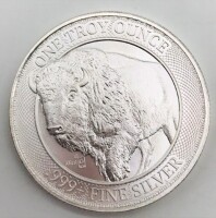 1 Troy Oz Fine Silver