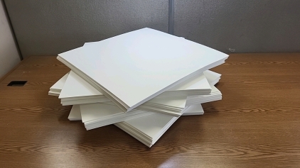 (56) Pieces of White Foam Padding