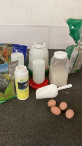 Chicken feeders and waterer