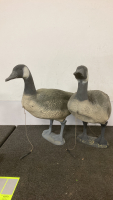 Geese Decoys