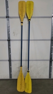 Pair of Carlisle Plastic Oars