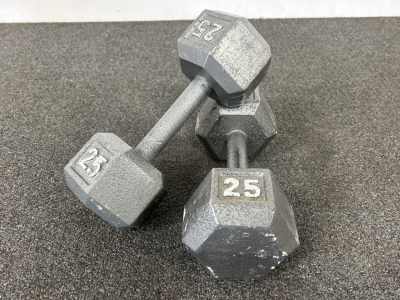 Set of 25 LB Dumbells