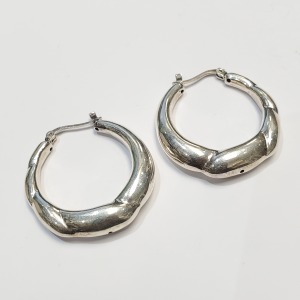 Silver Earrings