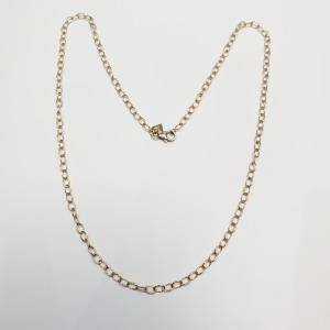Silver Chain
