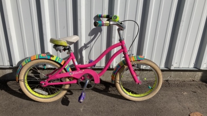 Electra Bicycle Co. Girls Bike