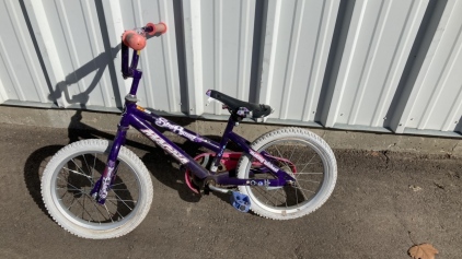 Magna Star Burst Girls Bike