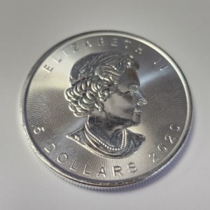 Silver Canadian Maple Leaf One Ounce Coin