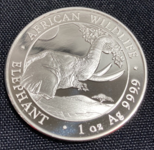 1oz 2023 Silver Somalia African Wildlife Elephant Coin