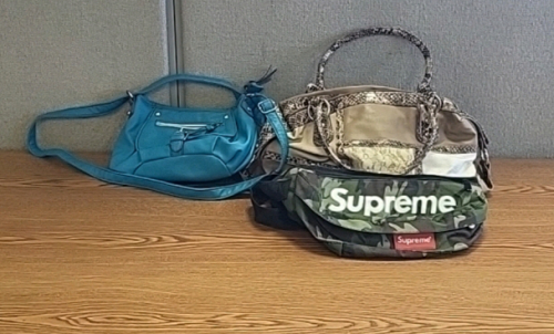 Supreme Fanny Pack, Teal Purse and Snakeskin Colored Purse