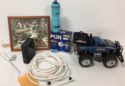 (1) WD My Book External Hard Drive (1) Audioquest HDMI Cable (1) 9.6V Power RC F-150 (1) The Forest Has Eyes Painting (1) Fly Swatter