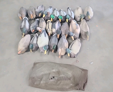 Duck Decoys