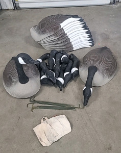 Geese Decoys