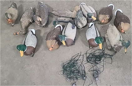 Duck Decoys